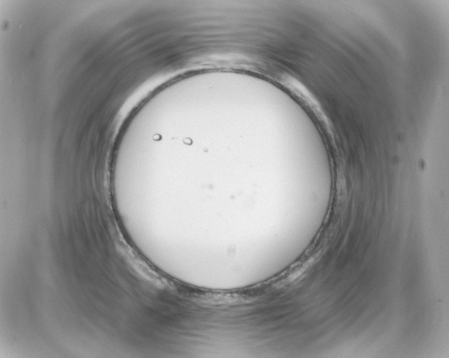 X0000085251336200704092039