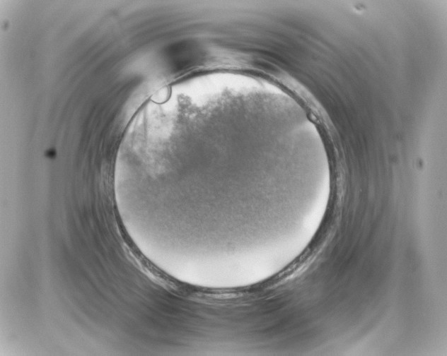 X0000085251337200704092039