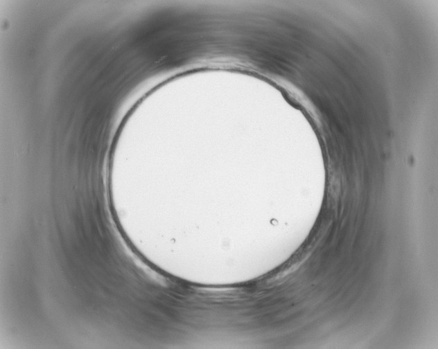 X0000085251343200704092039