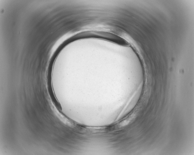 X0000085251344200704092039