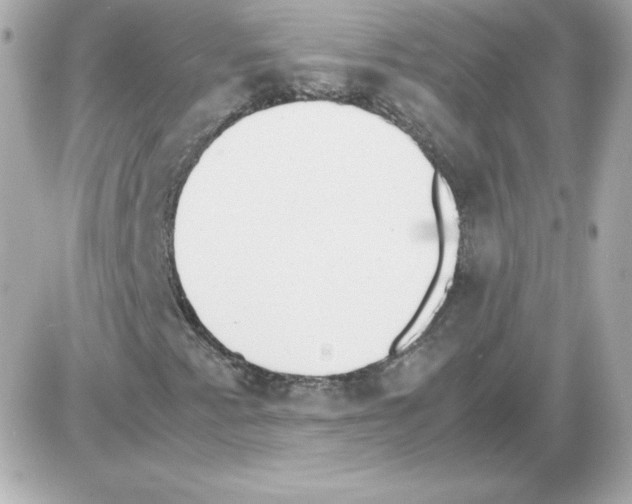 X0000085251345200704092038