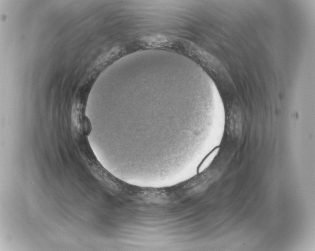 X0000085251346200704092038