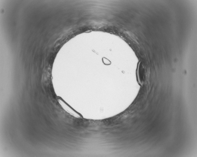 X0000085251349200704092038