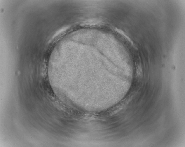 X0000085251350200704092038