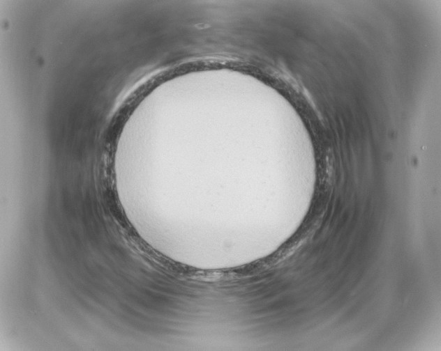 X0000085251352200704092038