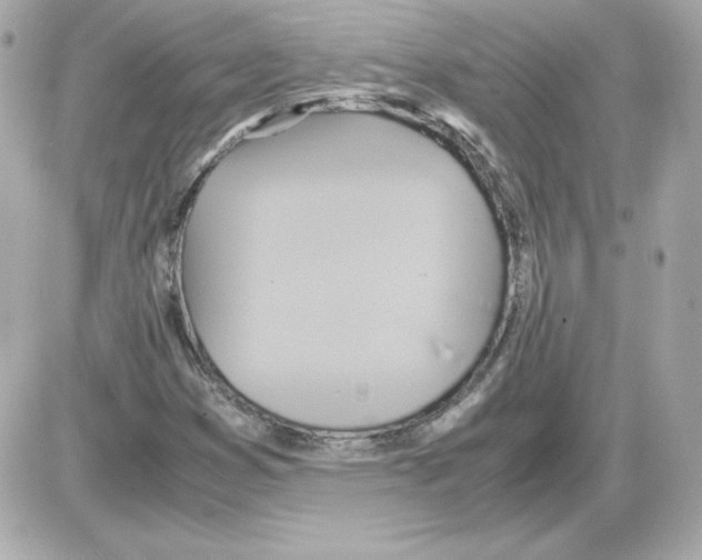 X0000085251353200704092038