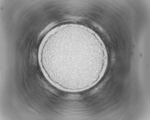 X0000085251354200704092038