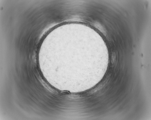 X0000085251356200704092038