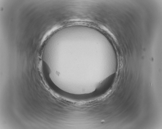 X0000085251357200704092038