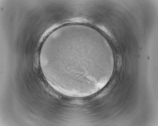 X0000085251358200704092038