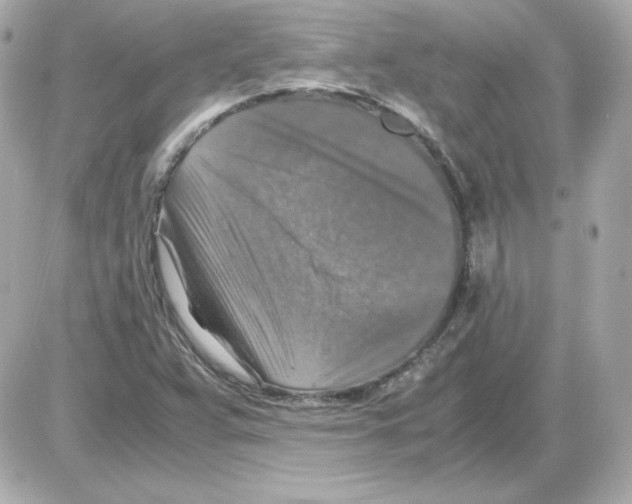 X0000085251359200704092038