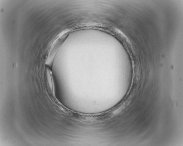 X0000085251361200704092038