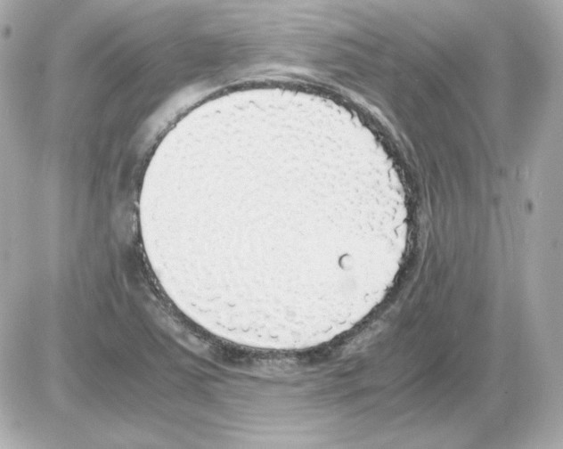 X0000085251363200704092038