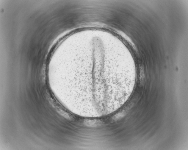 X0000085251364200704092038