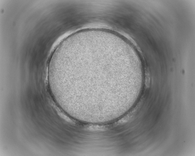 X0000085251366200704092038