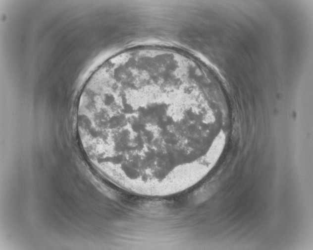 X0000085251367200704092038