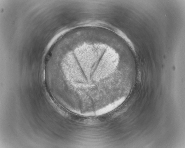 X0000085251368200704092038