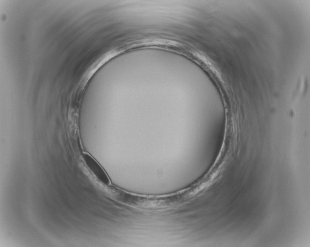 X0000085251369200704092038