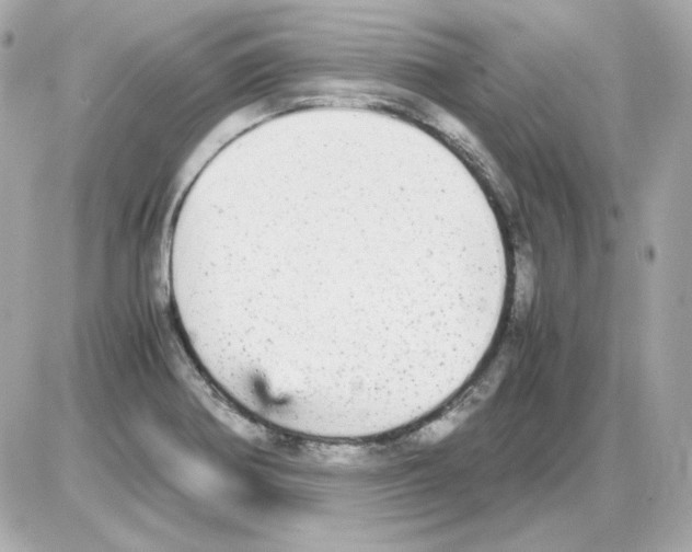 X0000085251370200704092038