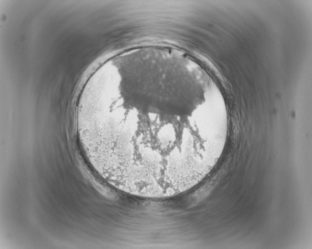 X0000085251371200704092038