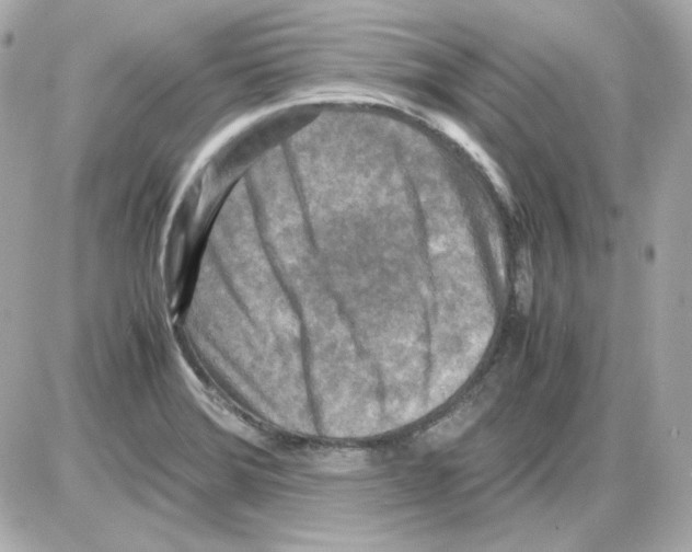 X0000085251372200704092038