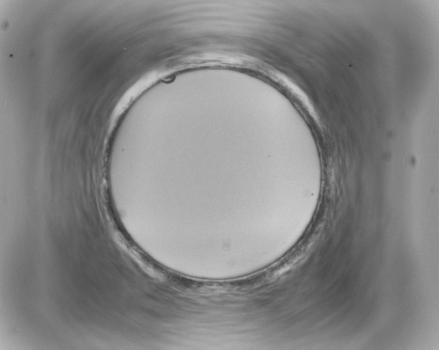 X0000085251373200704092038