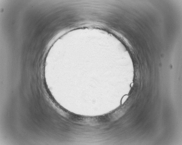 X0000085251375200704092038