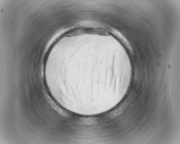 X0000085251376200704092038