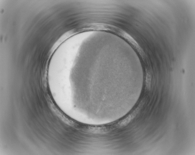 X0000085251378200704092038