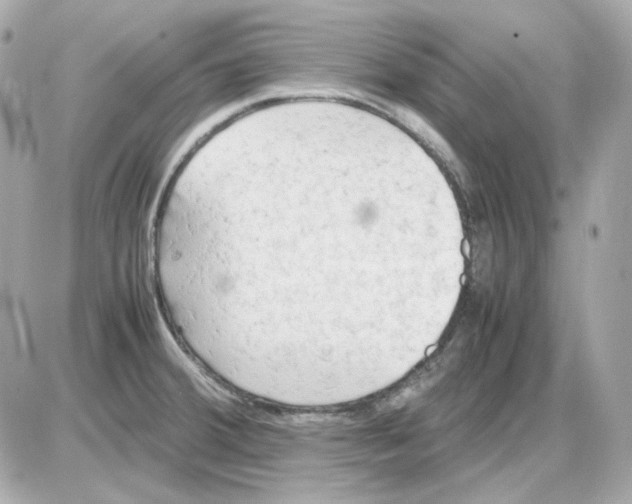 X0000085251380200704092038