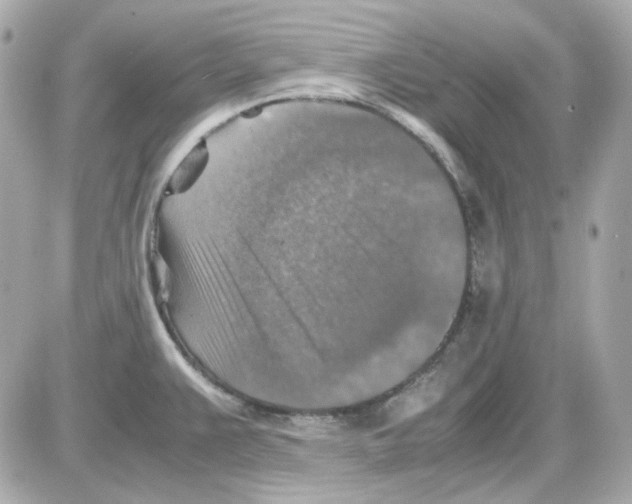 X0000085251383200704092038