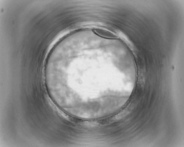 X0000085251384200704092038