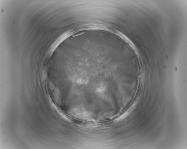 X0000085251385200704092038