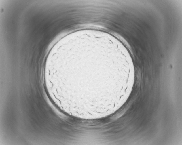 X0000085251391200704092038