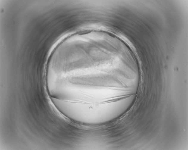 X0000085251392200704092037