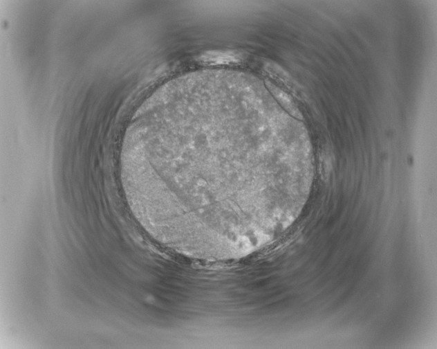 X0000085251393200704092037