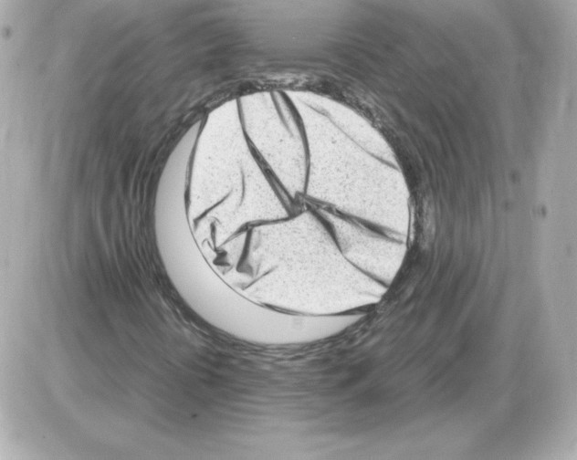 X0000085251394200704092037