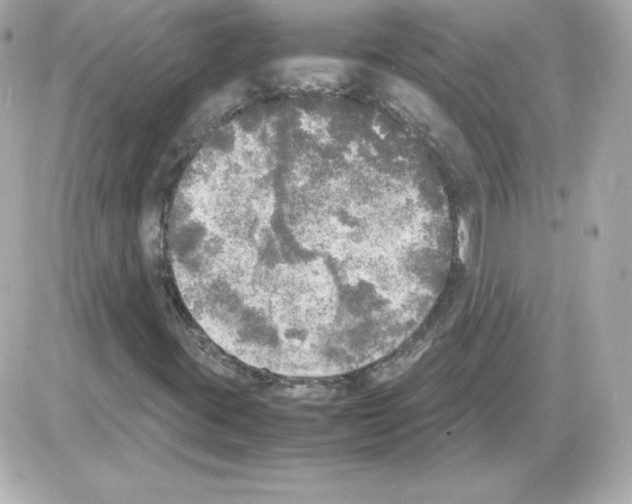 X0000085251395200704092037