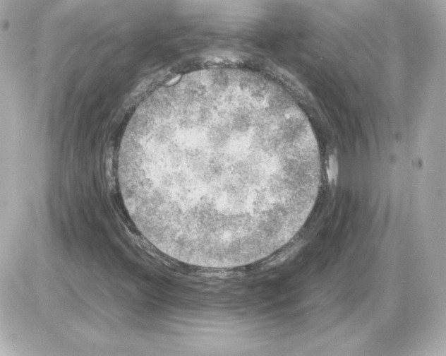 X0000085251396200704092037