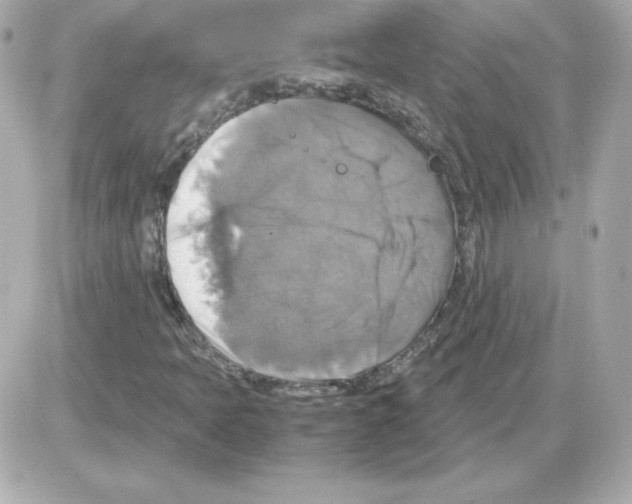 X0000085251397200704092037