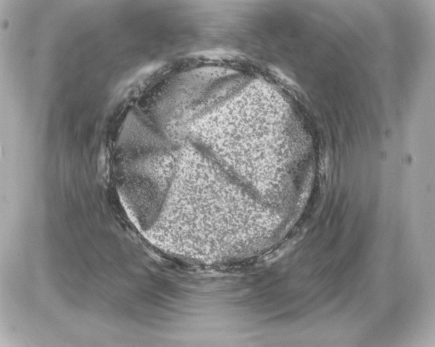 X0000085251398200704092037