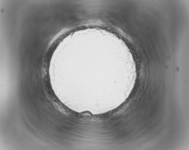 X0000085251400200704092037