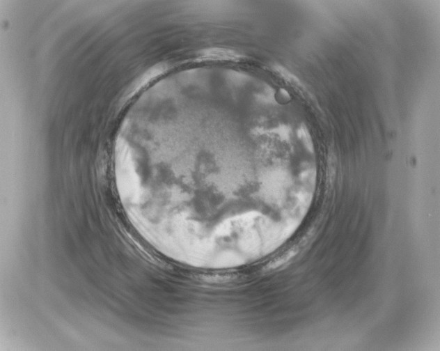 X0000085251401200704092037