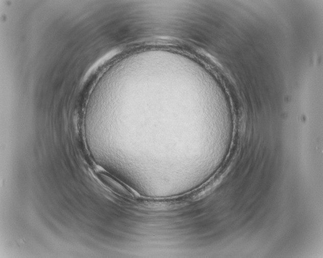 X0000085251402200704092037