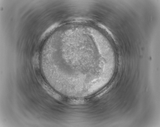 X0000085251403200704092037