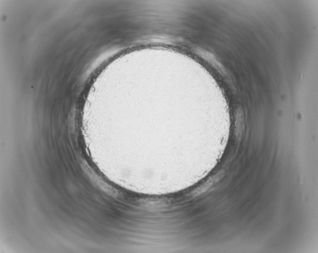 X0000085251404200704092037