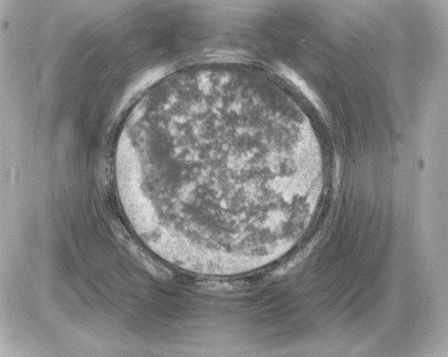 X0000085251405200704092037