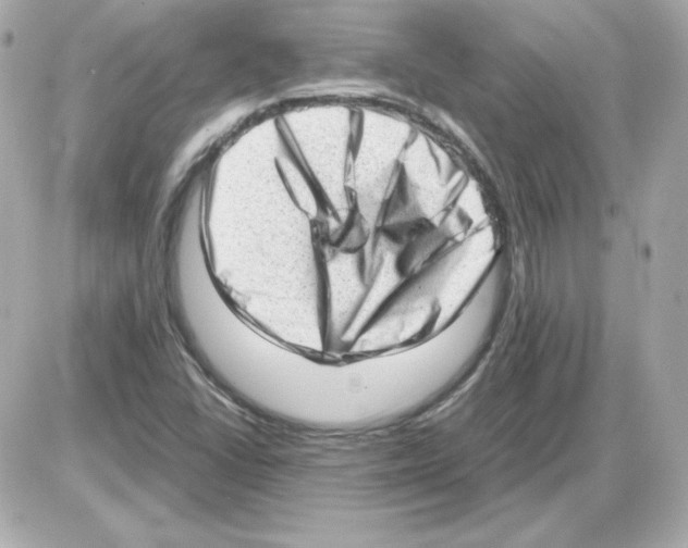 X0000085251406200704092037