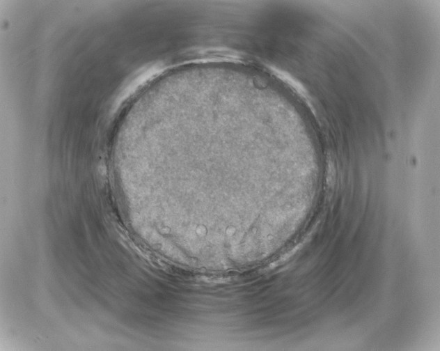 X0000085251407200704092037