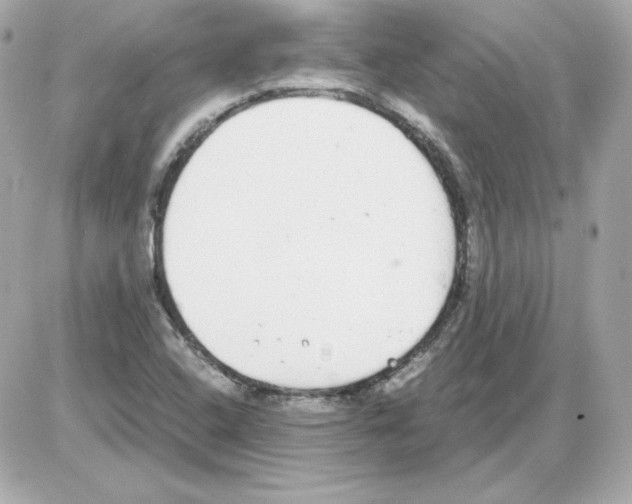 X0000085251408200704092037